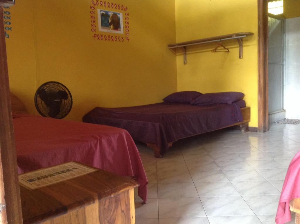 Morpheus Exotica Lodge Puerto Viejo de Talamanca Cameră foto